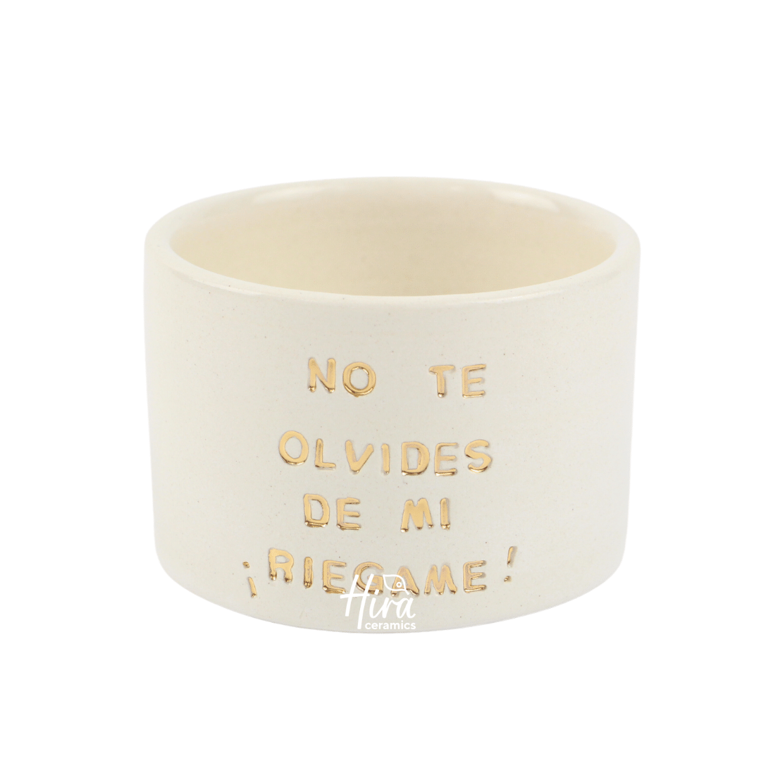 Maceta Mensaje "No te olvides de mi ¡riegame!"