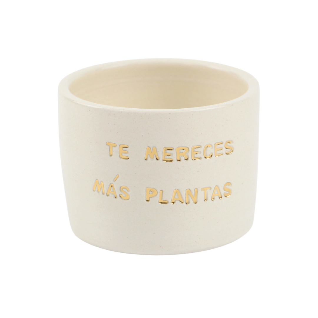 Maceta Mensaje "Te mereces más plantas!"